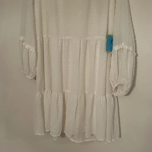 🎈3/$25🎈NWT CeCe Clip Dot Ruffled Shift Dress - Picture 5 of 11